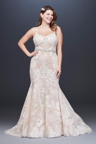 As Is Embellished Plus Size Lace Wedding Dress