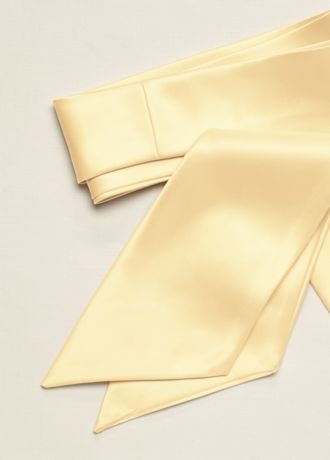 Versatile Long Satin Sash